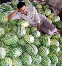 A seller rests on the heap of watermelons in Amritsar.