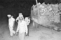 Residents of Bardhar village seized a tractor-trolley laden with logs on Wednesday night.