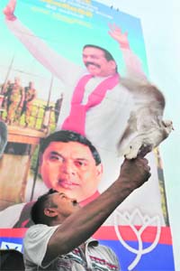 A Sri Lankan man releases a pair of doves near an election billboard of President Mahinda Rajapakse during election celebrations in Colombo
