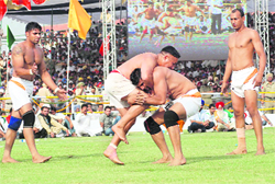 A kabaddi match in progress at Bathinda on Saturay. 
