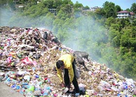 Pigs rummage through garbage that was set on fire on Sunday, engulfing Mussoorie areas in toxic fumes