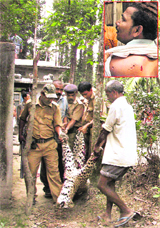 Forest guards and local people carry a dead leopard, which was shot after it entered a village and attacked people, at Sikaripara, near Jalpaiguri, on Sunday; and (inset) an injured villager.
