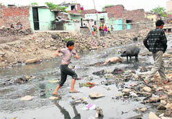 A boy wades through muddy water of nullah along the Rajiv Colony in Panchkula.