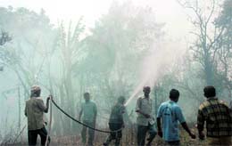 Men try to douse a forest fire on the outskirts of Dehradun. A Tribune photograph