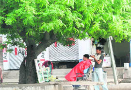 A roadside barber gives a hair cut to a man under a tree near Ambedkar Chowk in Jammu.