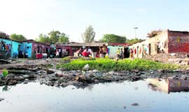 Insanitary conditions prevail around a housing area; and (right) children play amidst filth at Colony No. 5, Chandigarh. Tribune photos: S Chandan