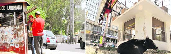 Violators being challaned by the traffic police under the iron cubicle which has been gathering rust in Ludhiana