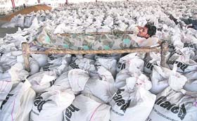 Bountiful Sleep: Tired of toil, a labourer takes a nap in the midst of bags of wheat at the new grain market in Karnal