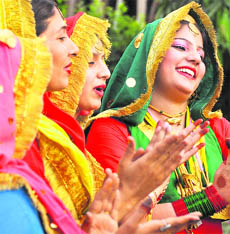 Auditions being held for “Nimbooz Pecha Bhangra Da” at Punjabi Bhawan in Ludhiana on Thursday.