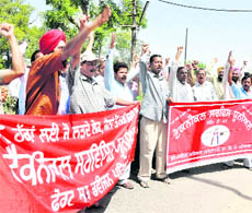 Members of the PSEB Technical Services Union hold a protest against the unbundling of the board in Patiala on Thursday. 