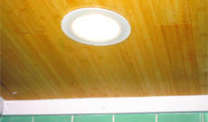 LED lights (top) are good for recess lighting and have a long life