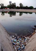 Garbage dumped in the reservoir of the drinking water treatment plant at Model Town in Bathinda. A Tribune photograph