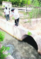 Prabhjot Singh Sandhu, president of the Mohali Chamber of Industry& Commerce, shows the exit point where untreated sewageis being discharged from the Chandigarh MCs Diggiantreatment plant located in Sector 66, Mohali