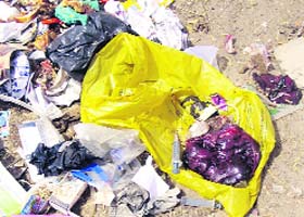 Dumped bio-medical waste, including human placenta and used syringes, in Sirsa
