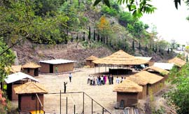 A real rural touch near Kandaghat.  A Tribune photo