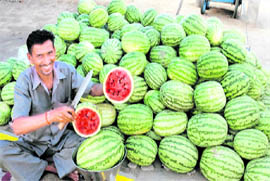 As the temperature rises, a watermelon seller in Jalandhar is pleased with the substantial increase in his sales. 