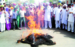 Congress workers burn an effigy of the Punjab Government in Majitha on Tuesday.