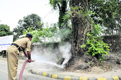 A fireman tries to douse a fire near a tree