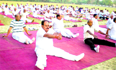 Police personnel being trained by Shantikunj Dev Sanskriti University yoga acharyas in Haridwar.
