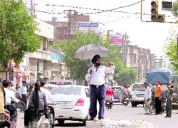 Standing on the plinth of a damaged sunshade, a cop tries to save himself from the scorching sun while regulating traffic at Bharat Nagar Chowk in Ludhiana. Photo: Inderjeet Verma