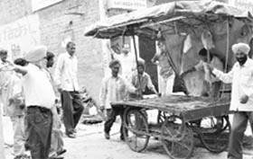An anti-encroachment drive under way at Mohali on Wednesday.
