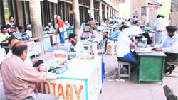 Typists, lawyers and stamp vendors sit in the backyard of the UT estate office in Sector 17, Chandigarh. 