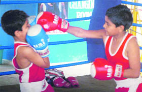 Players of junior and sub-junior group practise for the boxing championship at SD School, Sector 32, Chandigarh, on Wednesday.