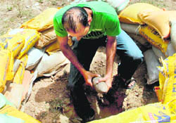 A policeman puts the bomb shell in a pit, surrounded by sand bags, at the Bapu Dham police post in Chandigarh on Thursday.