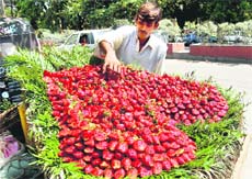 Strawberries on sale in Dehradun