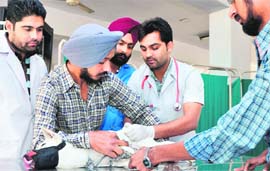 A dog being vaccinated during an anti-rabies camp at GADVASU in Ludhiana on Friday.