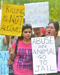 Activists of the Coordination Committee in Defence of Animals walk for animal rights in New Delhi