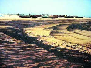 Several parts of the Ganjam coast in Orissa became polluted due to leakage of oil from a ship