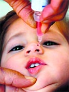 Drops being administered to an infant during a pulse polio immunisation programme in Jammu on Sunday. Tribune photo: Anand Sharma