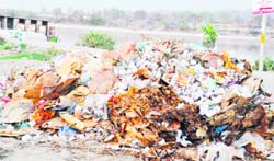 A garbage heap in the Kumbh mela area.