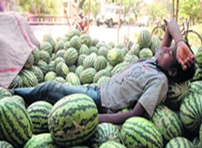As heat forces residents to stay indoors, this vendor takes a nap on a hot afternoon on the Ambala-Jagadhari road in Ambala Cantonment