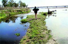 Polluted water from Mehtapur industrial unit mixes with the clear water of Swan rivulet 