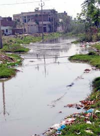 Tung Dhab drain in Amritsar