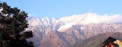 A view of fresh snow at the top of Dhauladhars. A Tribune photo