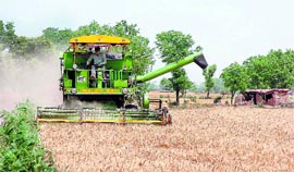 A farmer uses a combine harvester at Londi village in Kathua. Tribune photo: Anand Sharma