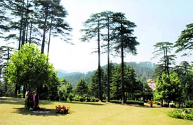 A view of the famous hill resort Patnitop. Tribune photo