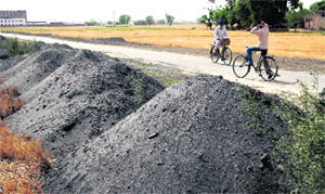 Toxic ash dumped on the roadside by industrial units in Muradpura village in Amritsar.