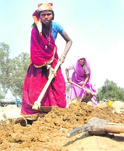 Labourers work in a park in Jammu on Friday on the eve of International Labour Day.