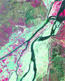 A merged picture of satellite images from Cartosat-2 and LISS-IV of the Maha Kumbh area during the Pramukh Shahi  Snan on April 14 released by the Uttarakhand Space Application Centre, Dehradun. 