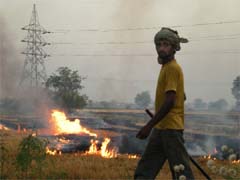 Stubble being burnt in fields on the outskirts of Malout in Muktsar district on Sunday. 