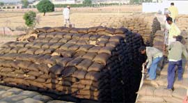 Workers rushed in with water and sand to control the fire in Markfed godown at Abohar on Monday.
