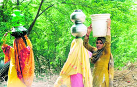 Braving the scorching sun, women tread long distance to fetch water in a Mewat village.