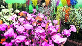 Artificial flowers on display at a Cotton Fab in Ludhiana on Monday.