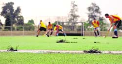 The synthetic turf at the PAU needs urgent attention. 