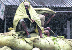 A worker covers himself with a sack as rain lashed Ludhiana
