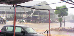 The wheat crop piled outside the shed at the grain market in Mullanpur Dhaka